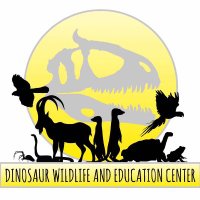 DWAEC (@dwaec_ltd) 's Twitter Profile