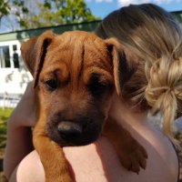 Tamsin Hobbs (@tamsin_hobbs) 's Twitter Profile