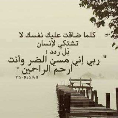 NEHrTWPyXhCuiAO's profile picture. 