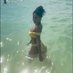 🧜🏽♀️ (@_vidabella) Twitter profile photo 🧜🏽♀️ (@_vidabella) Twitter profile photo