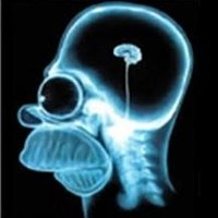 n_brain (@nbrain7) 's Twitter Profile