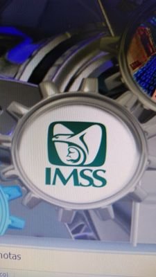 Subsidios y ayudas del IMSS