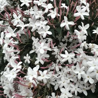 deliategui's profile picture. viajar, viajar es mi gran sueño!!!