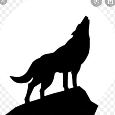 WESPrimaryPack's profile picture. We are the primary division educators at Woodville Elementary School. Check out the amazing things our Gr.1-3 students are doing.