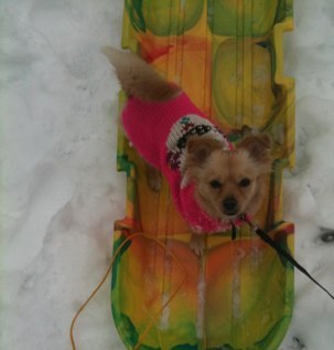 kirbyfitz's profile picture. 