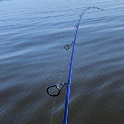 otoole_gene's profile picture. 