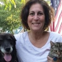Ms. Schnell STEM (@msschnell_stem) 's Twitter Profile Photo Ms. Schnell STEM (@msschnell_stem) 's Twitter Profile Photo