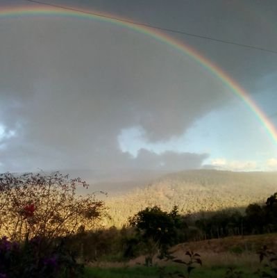 diocoa8's profile picture. La Paz se logra luchando por un mundo mejor. Adelante.