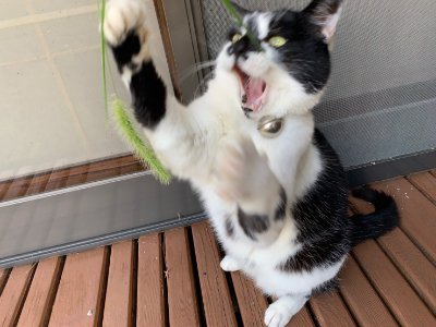 PahPudpYOLiFCNq's profile picture. 