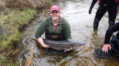 LSSU Fish Mngmnt Grad in 2018; living the dream as a Fish Research Tech in Northern MI!  Wife, mom, photographer, and sturgeon lover.