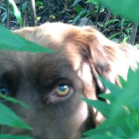 🌻 Marta Baziuk (@martabaziuk) 's Twitter Profile Photo 🌻 Marta Baziuk (@martabaziuk) 's Twitter Profile Photo