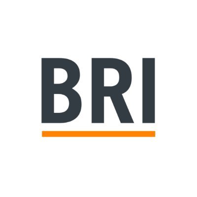 BRInstitute Profile Picture