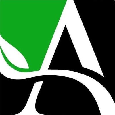 amekainsurance's profile picture. 