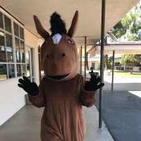 Naranca Elementary School (@narancamustangs) 's Twitter Profile