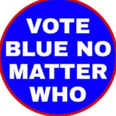 We can save our country. Together. Vote blue no matter who. 🇺🇸