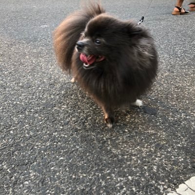 oldcjaccount's profile picture. 🐍🐍🐍🐍