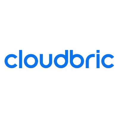 cloudbric Profile Picture