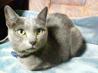 0_chama's profile picture. アゴラ企画・青年団／こまばアゴラ劇場／NPO法人PAVLIC（パブリック）理事・コーディネーター