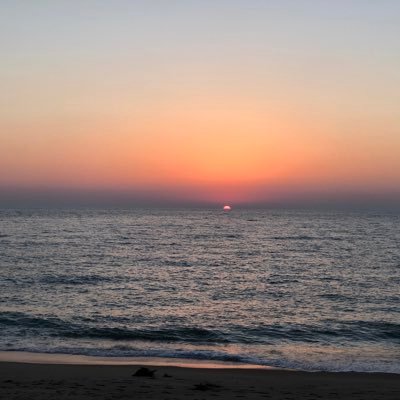 FMoety's profile picture. 