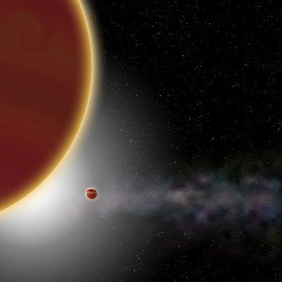 MahmudSelim6's profile picture. 