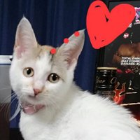 ใใใใ (@ojikokin) 's Twitter Profile Photo ใใใใ (@ojikokin) 's Twitter Profile Photo