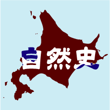 「北海道自然史研究会」は、自然史系学芸員を中心に北海道内の自然史に関するネットワークづくりのために1993年に立ち上げられました。このアカウントでは、年1回開催の研究大会や、北海道の自然史情報の整備（研究報告アーカイヴ）について紹介します。