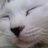 Tikky777's profile image