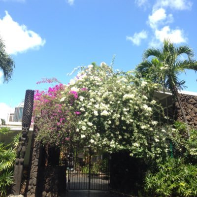 57XCGwdHneENd30's profile picture. 