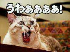 つつさんのプロフィール画像