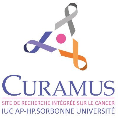 Site de recherche intégrée sur le cancer IUC AP-HP.Sorbonne Université