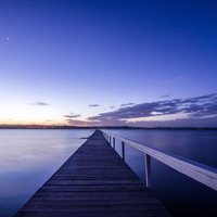 Shersar (@shersar1) 's Twitter Profile