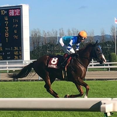 新馬戦と長距離戦、障害戦が好きです。友道厩舎応援してます。サイレンススズカ、シュヴァルグランは永遠の推し。