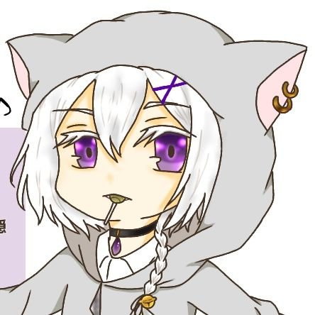 白さんのプロフィール画像