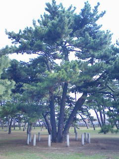 dobinhutto's profile picture. 趣味はサイクリングで毎日楽しんでします。レディーガガ、サザンが好きなおじさんです。