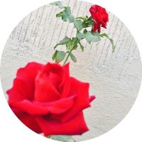 bnt alza3im (@bntalza3im) 's Twitter Profile Photo