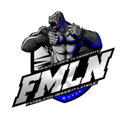 The Official network of the Fearless Madden League. Check out our productions on Twitch, YouTube and Anchor. @FearlessLG #BuildCompeteDominate