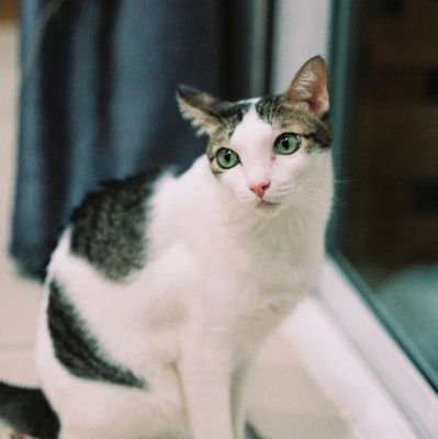 oil_lalida's profile picture. 