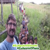 Luis Miguel Modino (@lmodino) Twitter profile photo Luis Miguel Modino (@lmodino) Twitter profile photo