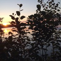 Hélène Vincent (@monpicot) 's Twitter Profile