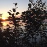 monpicot's profile picture. Enseignante retraitée, Aime la nature, mordue de télé: information, musique, sports:hockey,tennis; passion:chant choral! La lecture, ma détente!