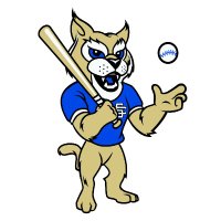 C-SC Wildcat Baseball(@CSCWildcat9) 's Twitter Profile Photo