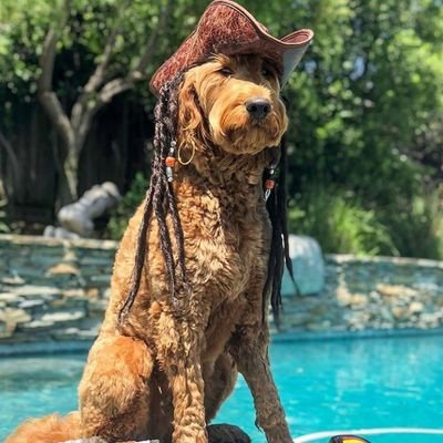 Iam_uglyAf's profile picture. Manunited
Gen z 
AboutMoney