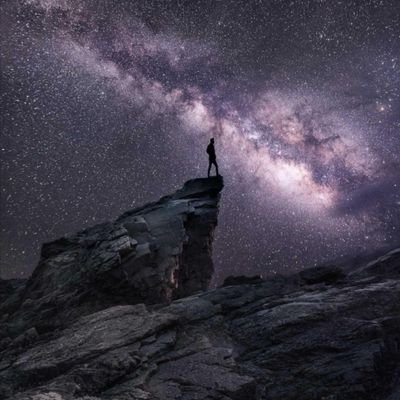 order_tensor's profile picture. 