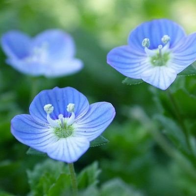 ❇世界平和と家庭の幸せ。昼も夜も空が好き。紅茶はアールグレイ。財津さん小田さんYOSHIKIさん好き。
写真は韓国鶏龍山甲寺
#ホーリーマザーハン #為に生きる #愛は与えて忘れなさい
#スパイ防止法の制定を