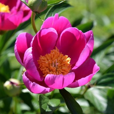 LindholmPaivi's profile picture. @LindholmPaivi