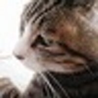 武井 宏憲 (穂野川) (@t_honokawa) 's Twitter Profile
