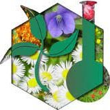 The official Twitter account of the Phytochemical Society of North America