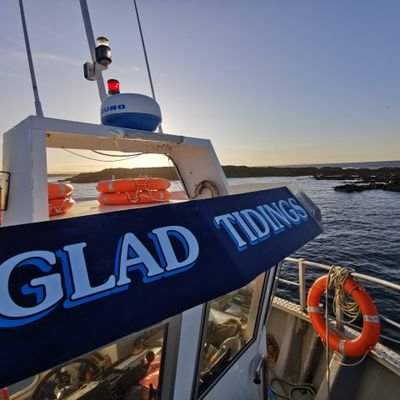 Boat Trips to the Farne Islands from Seahouses harbour. Sailings available all year round.