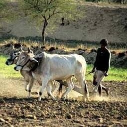 1 एडवोकेट, कानूनी विद, सामाजिक विचारक,
जै जै जयभीम जय जवान जय किसान
इंकलाब जिंदाबाद