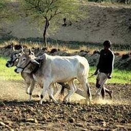 1) BSP मजबूत करो कांशी
भारतीयसैनिक हू देश पर बलिदान मेरा गौरव 
जै जै जयभीम जय जवान जय किसान जय मजदूर
हर जो जुल्म की टक्कर में संघर्ष हमारा नारा 
इंकलाब जिंदाबाद